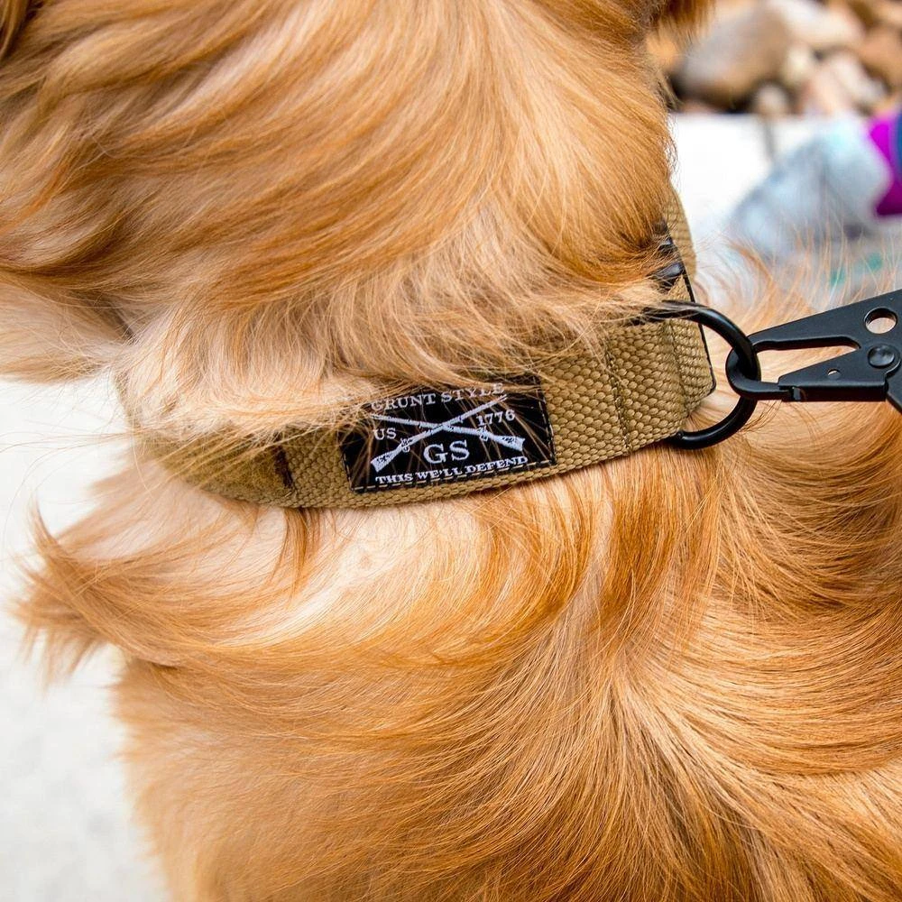 Accessories Quick Release Coyote Dog Collar - Image 3
