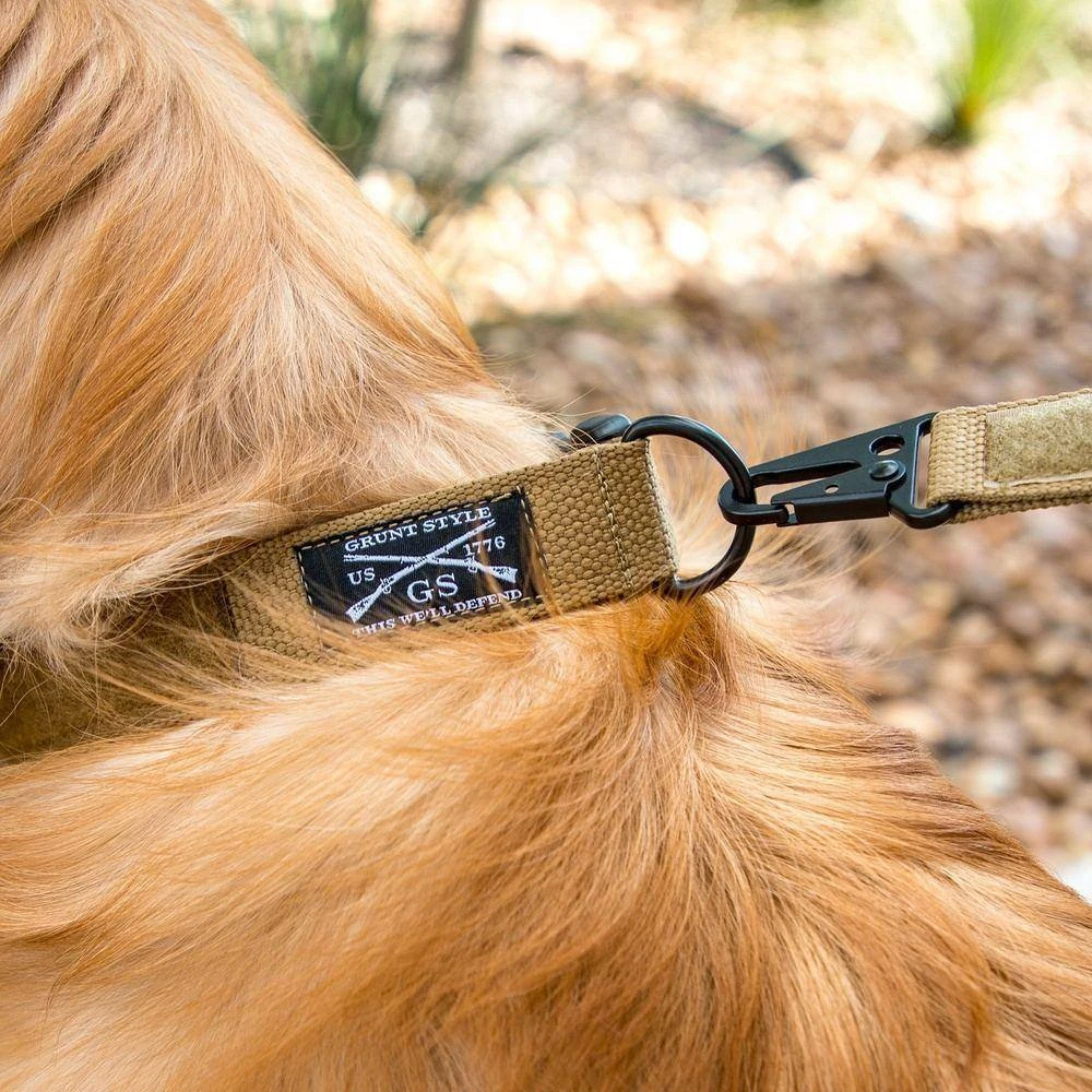 Accessories Quick Release Coyote Dog Leash - Image 4