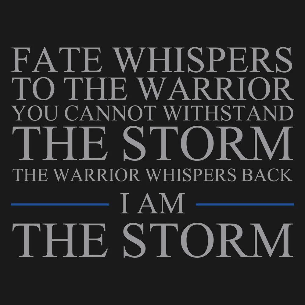 I Am The Storm T-Shirt - Black - Image 3