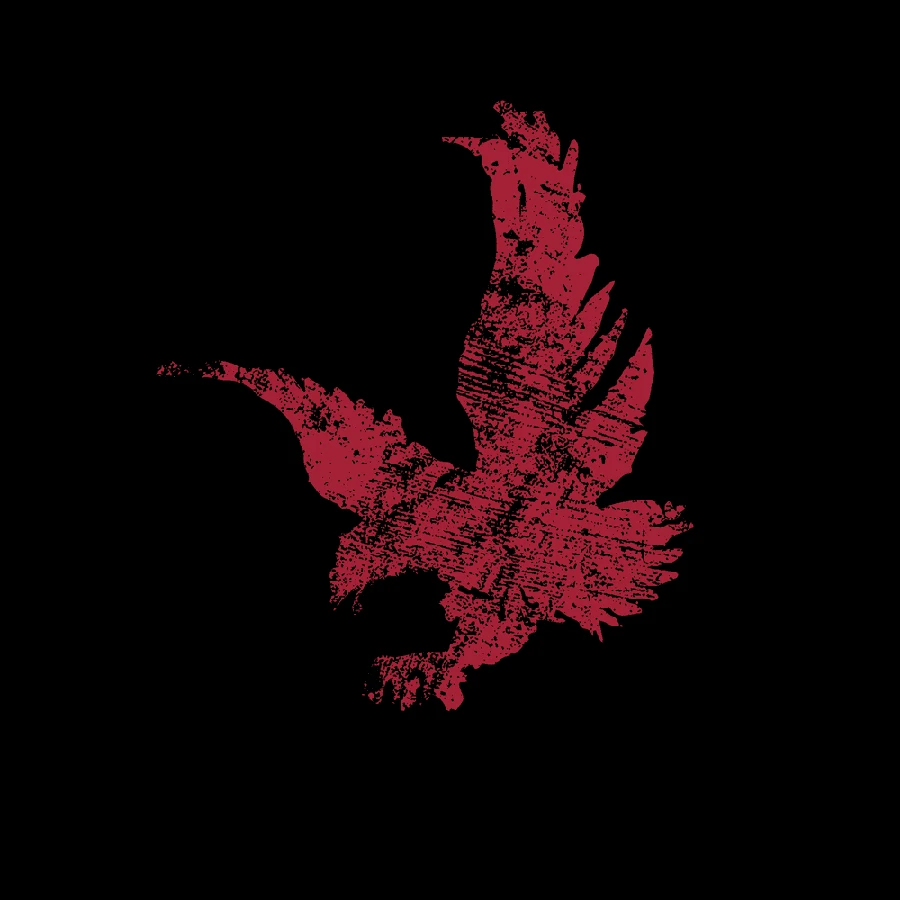 Freedom Flag Full-Zip Hoodie - Black - Image 5